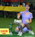BOB + Golden winner - CACIB Lige 2002 - Gessi