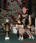 Champion of Champions H 2004 - Ich. Gessi Modr kvt