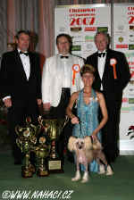 Ich. Gessi Modr kvt - Champion of Champions SK 2007 - Bratislava. Judges: Hans W. Mller (CH), Lisbeth Mach (CH), Denis Kuzejl (SLO). 