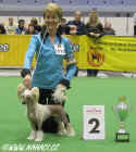 Ch. KITTY z Haliparku - res. BEST IN GROUP - IRAS Stuttgart 2007. Owner + handler: Libue Brychtov, judge: Walter Holtorf (D). Many thanks for placement!!!