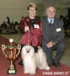 Best of Day - National dog show Ostrava - Ich. Cody z Haliparku, judge: Petr ehnek, CZ. Thanks a lot! 