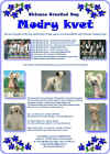 Our Dogs Annual 2007 - stanice Modr kvt