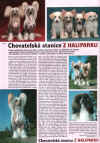 Ch.s. z Haliparku - Chinese Crested Dogs !!! Breeder: Libue Brychtov, Czech republic