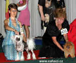 World Supreme Superior FCI - Ich. Akim Hvzda z Podmok among 32 the best dogs !!!