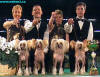 European Dog Show 2002 Paris - 1st place Modry kvet - breeders group  (Libue Brychtov, Petr Fritsch, Markta imekov, Ji Pospil) 